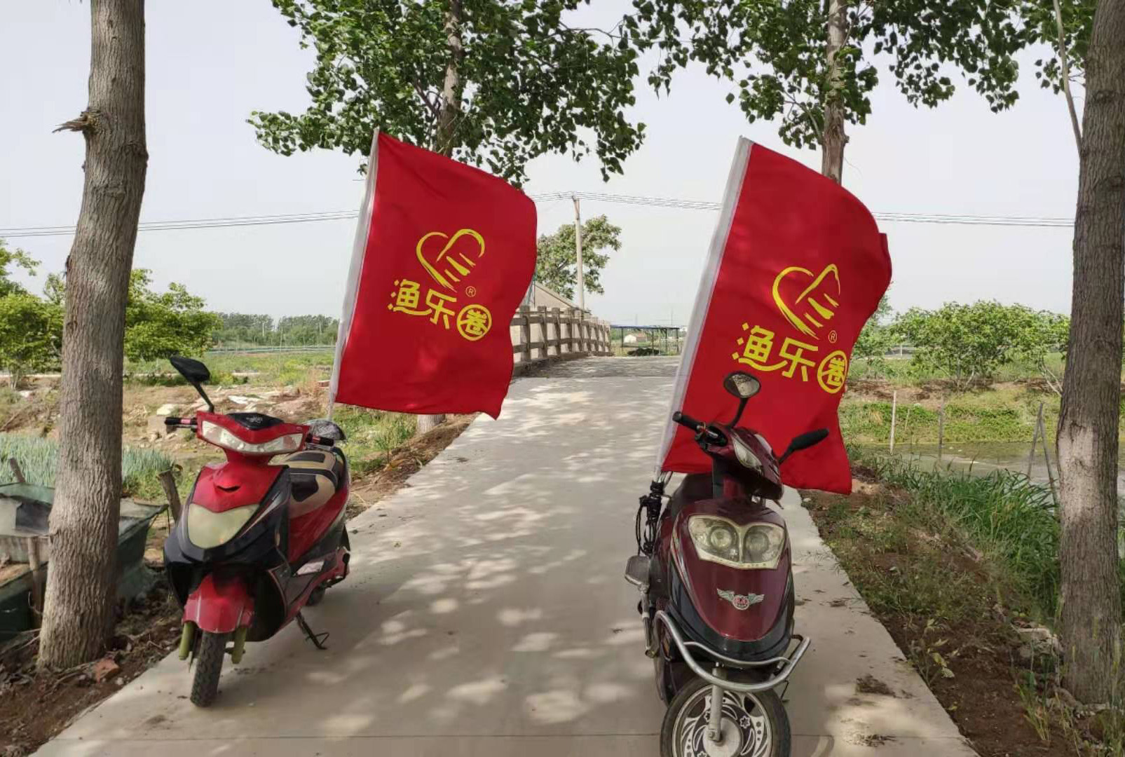 青苔的这些误区,你还在踩雷吗?快来看看