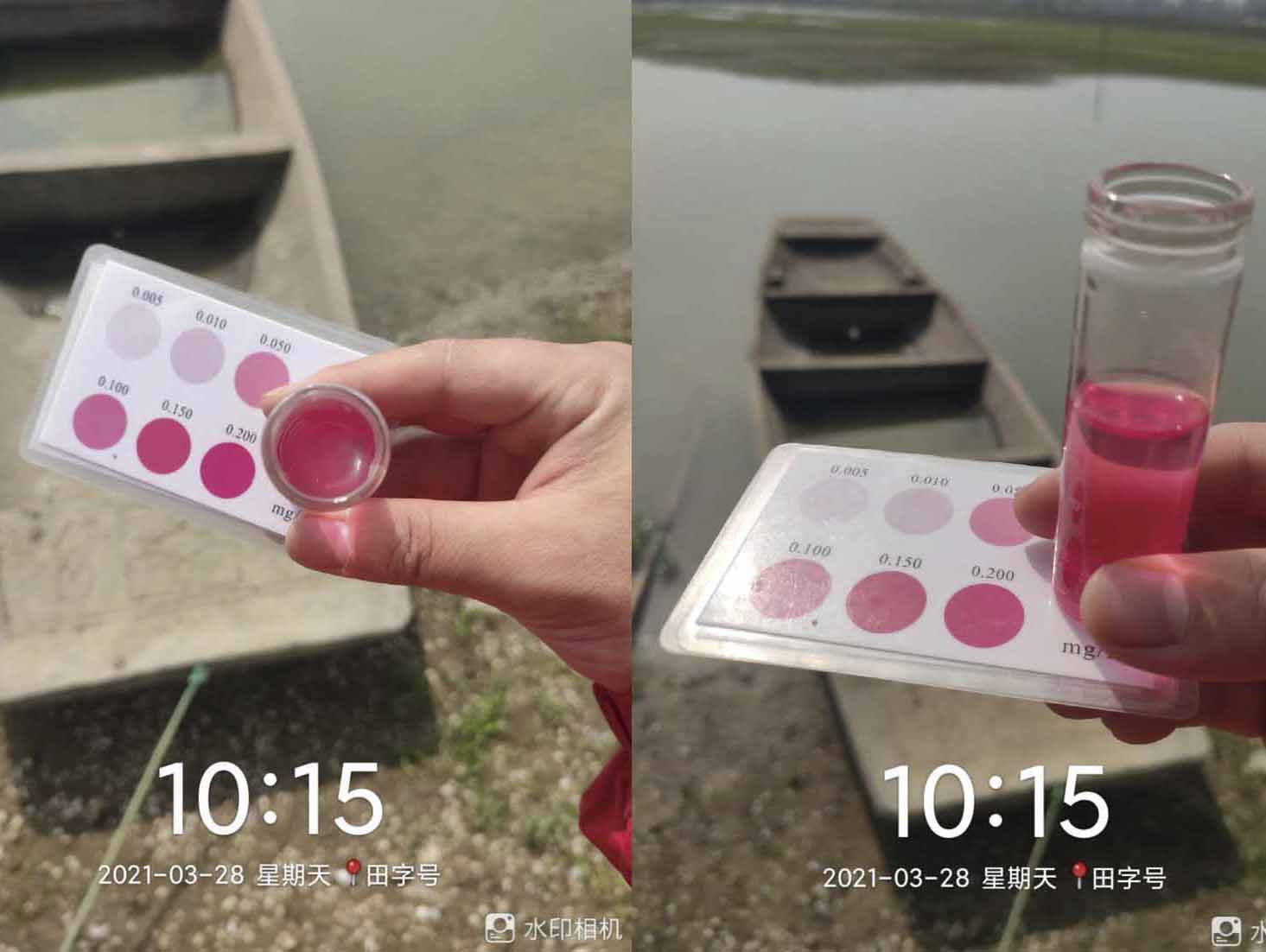 池塘亚硝酸盐偏高不要怕,用它就对了!