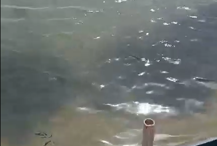 水色暗淡无光泽度,如何调水色?