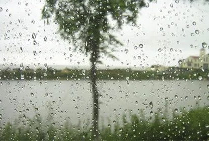 梅雨、高温季千万不能少这两样!