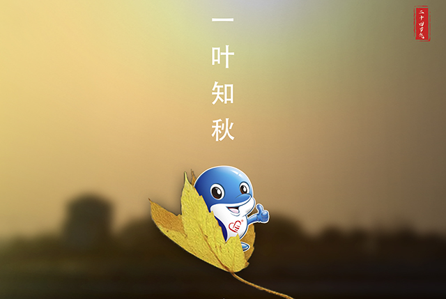 温度逐步下降过程中,部分塘口伤亡反而加重,原因主要有这几个方面